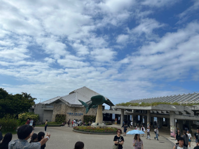 美ら海水族館