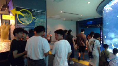 WIN_20251008_15_02_24_Pro