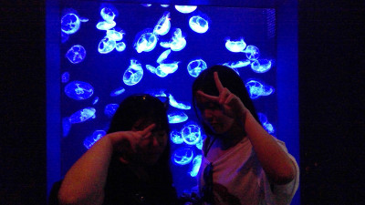 WIN_20251008_15_05_55_Pro